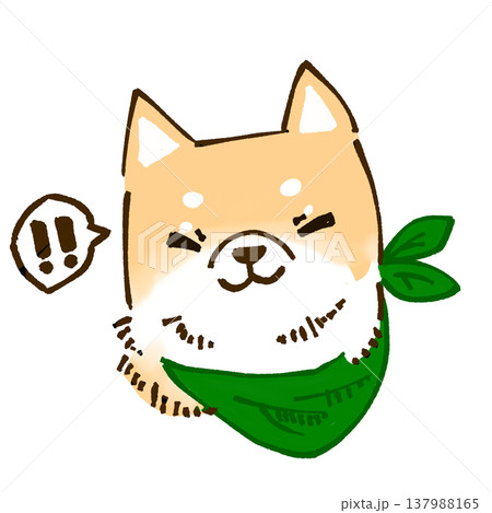 嬉しそうな柴犬のイラスト 137988165