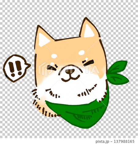 嬉しそうな柴犬のイラスト 137988165