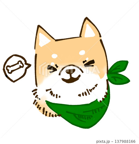 ニコニコしている柴犬 137988166