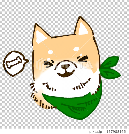 ニコニコしている柴犬 137988166