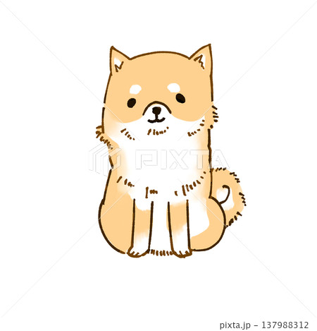 お座り柴犬 137988312