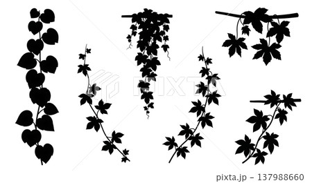 Black Solid Filled Vine Plant Silhouettes Set of Six 137988660