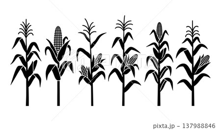 Black Solid Corn Stalk and Maize Plant Silhouettes Set of Six 137988846