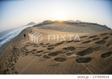 鳥取砂丘　朝焼けの美しい風景 137989028