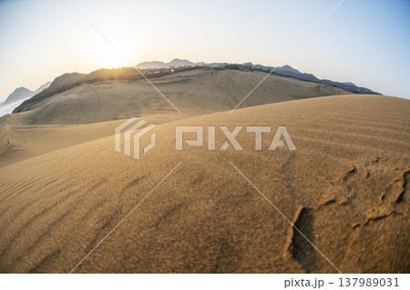 鳥取砂丘　朝焼けの美しい風景 137989031