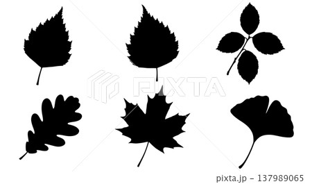 Assorted Black Solid Deciduous Leaf Silhouettes Set of Six 137989065