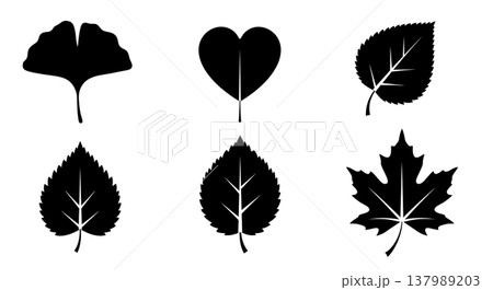 Set of Six Black Solid Distinctive Tree Leaf Silhouettes 137989203