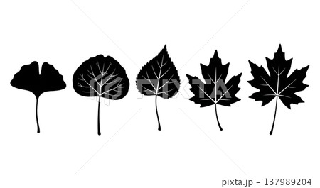 Set of Six Black Solid Distinctive Tree Leaf Silhouettes 137989204