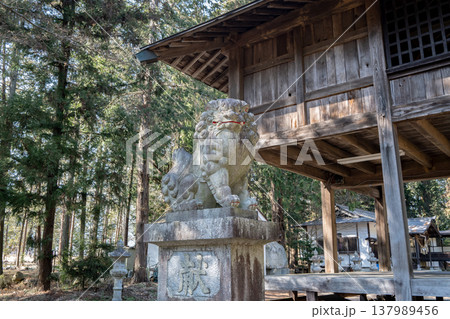 神社の境内　スナップショット　長野県 137989456