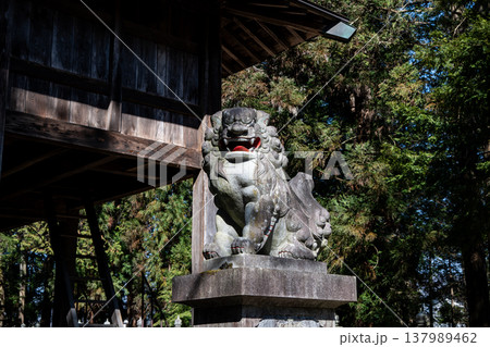神社の境内　スナップショット　長野県 137989462