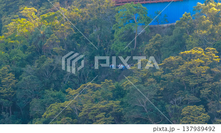 Lugard Road Lookout Panoramic Viewpoint Victoria Peak March 15 2026 137989492