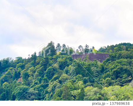夏の青葉山と青葉城址の風景 137989638