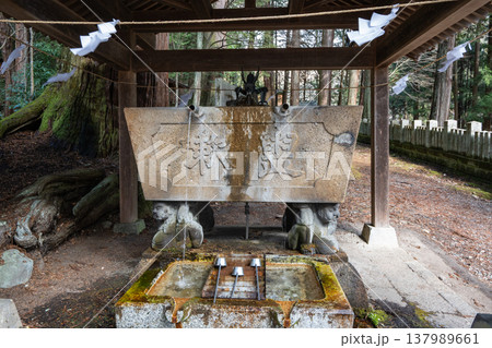 神社の境内　スナップショット　長野県 137989661