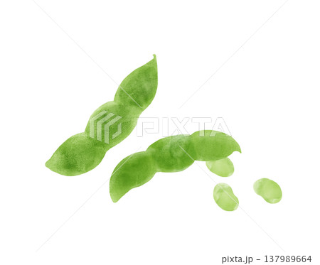 枝豆の水彩イラスト 豆が飛び出している様子 おつまみ・夏野菜 枝豆の水彩イラスト 豆が飛び出している様子 おつまみ・夏野菜 137989664