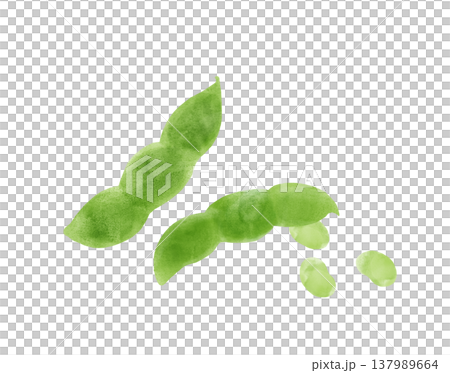 水彩插畫描繪了毛豆，豆粒彷彿要從土壤中探出頭來。毛豆是完美的零食或夏季蔬菜。 137989664