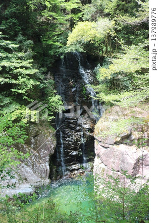 新緑に囲まれた岩場の滝とエメラルドグリーンの水辺の風景 新緑に囲まれた岩場の滝とエメラルドグリーンの水辺の風景 137989776