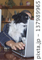 A portrait of a man in a dressing gown with a dog in front of a laptop. Vertical photo 137989965