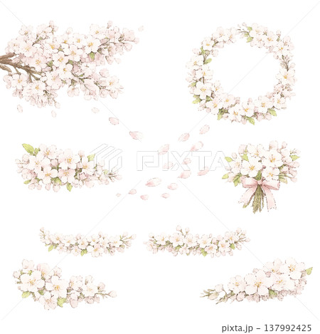水彩風の桜フレームと装飾セット 春のイラスト素材 水彩風の桜フレームと装飾セット 春のイラスト素材 137992425