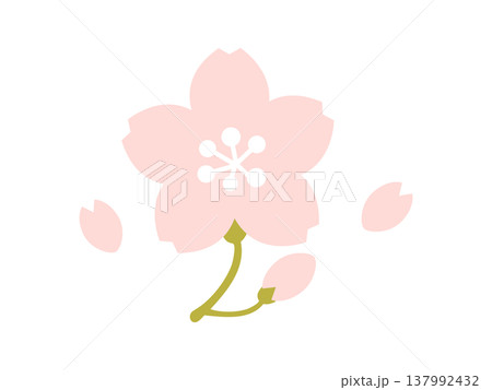 シンプルな桜の花イラスト 花びら付き 春のアイコン素材 137992432