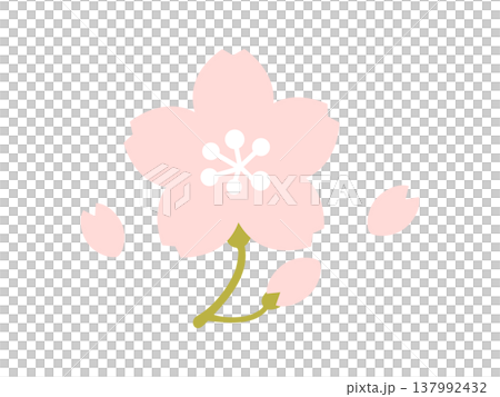シンプルな桜の花イラスト 花びら付き 春のアイコン素材 137992432
