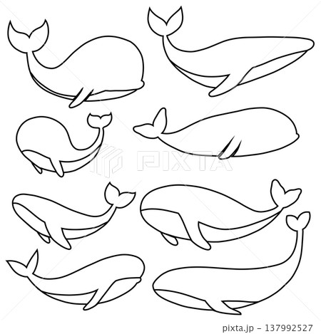 Vector set of outline whales in various poses. Collection of marine life clip art 137992527
