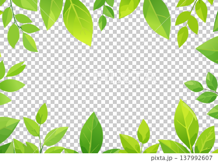 可編輯向量圖形，以鮮豔的綠色葉子為邊框，黑色為背景，熱帶植物邊框。 137992607