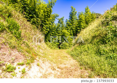 【日本100名城】月山富田城の秋の風景 花ノ壇と曲輪の間の堀切 島根県安来市 【日本100名城】月山富田城の秋の風景 花ノ壇と曲輪の間の堀切 島根県安来市 137993033