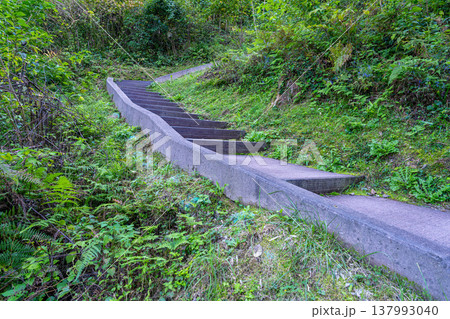 【日本100名城】月山富田城の秋の風景　七曲り　島根県安来市 137993040