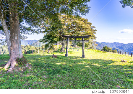 【日本100名城】月山富田城の秋の風景　三の丸と勝日高守神社の鳥居　島根県安来市 137993044