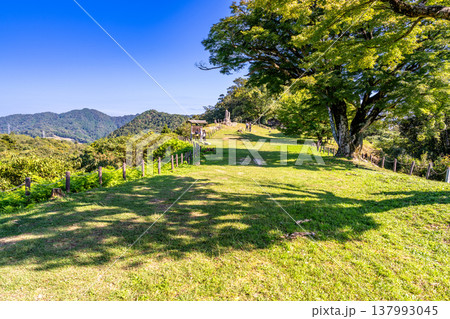 【日本100名城】月山富田城の秋の風景　本丸2　島根県安来市 137993045