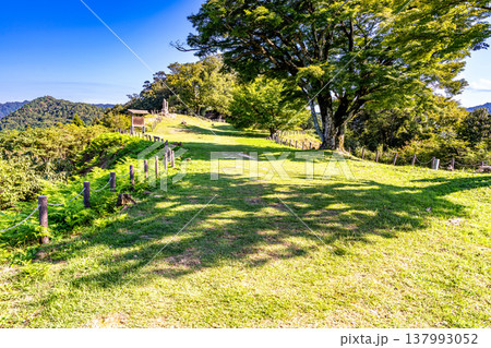【日本100名城】月山富田城の秋の風景　本丸1　島根県安来市 137993052
