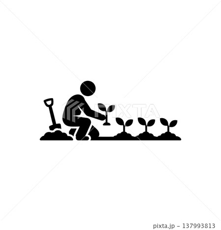 Manual Seedling Planting Process Icon Manual Seedling Planting Process Icon 137993813