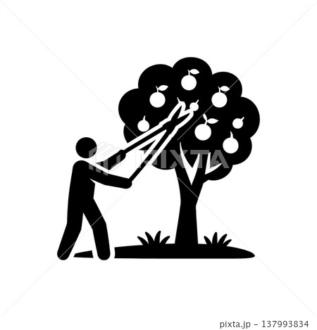 Orchard Pruning Harvest Icon Orchard Pruning Harvest Icon 137993834