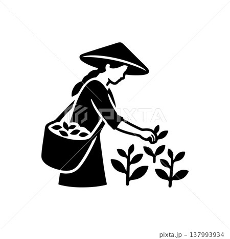 Tea Leaf Harvest Selection Icon 137993934