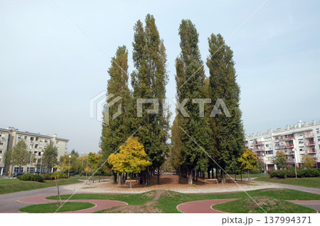 Park in Malesnica residential area, Zagreb, Croatia 137994371