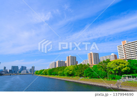 【東京都】5月・品川区の都市風景 【東京都】5月・品川区の都市風景 137994690