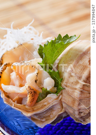 活真つぶ貝の刺身 活真つぶ貝の刺身 137994847