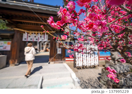 260321飛騨天満宮s028 137995229