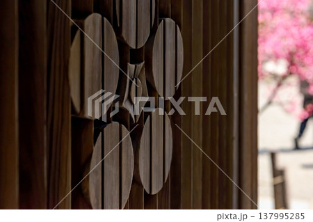 260321飛騨天満宮z134 137995285