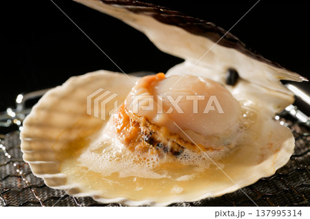 ホタテの網焼き ホタテの網焼き 137995314