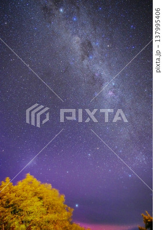 南十字星　ニセ十字 137995406