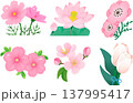 かわいいピンクの花のイラスト 137995417