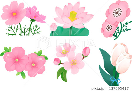 かわいいピンクの花のイラスト かわいいピンクの花のイラスト 137995417
