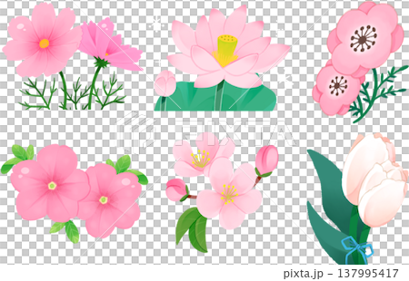 かわいいピンクの花のイラスト かわいいピンクの花のイラスト 137995417