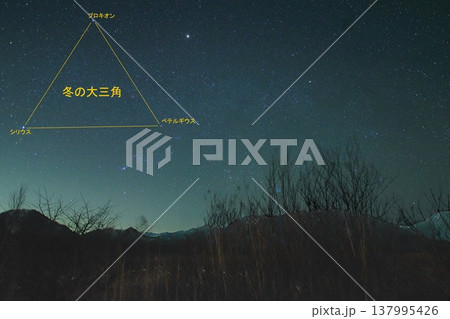 冬の大三角 137995426
