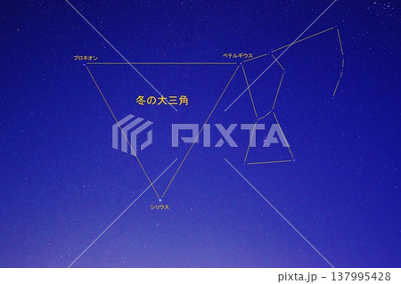 冬の大三角 冬の大三角 137995428
