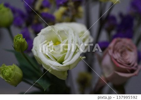 White Lisianthus Flowers Floral Arrangement Still Life 137995592