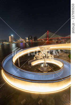 上海楊浦大橋夜景、螺旋スロープと光るモクレンの木の都市景観 上海楊浦大橋夜景、螺旋スロープと光るモクレンの木の都市景観 137995650