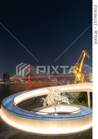 上海楊浦大橋夜景、螺旋スロープと光るモクレンの木の都市景観 137995652