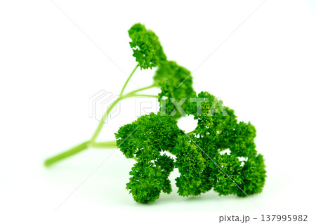 Herbs and black pepper on the table. View from above. Dill, parsley and peppercorns. Recipe for cooking Herbs and black pepper on the table. View from above. Dill, parsley and peppercorns. Recipe for cooking 137995982